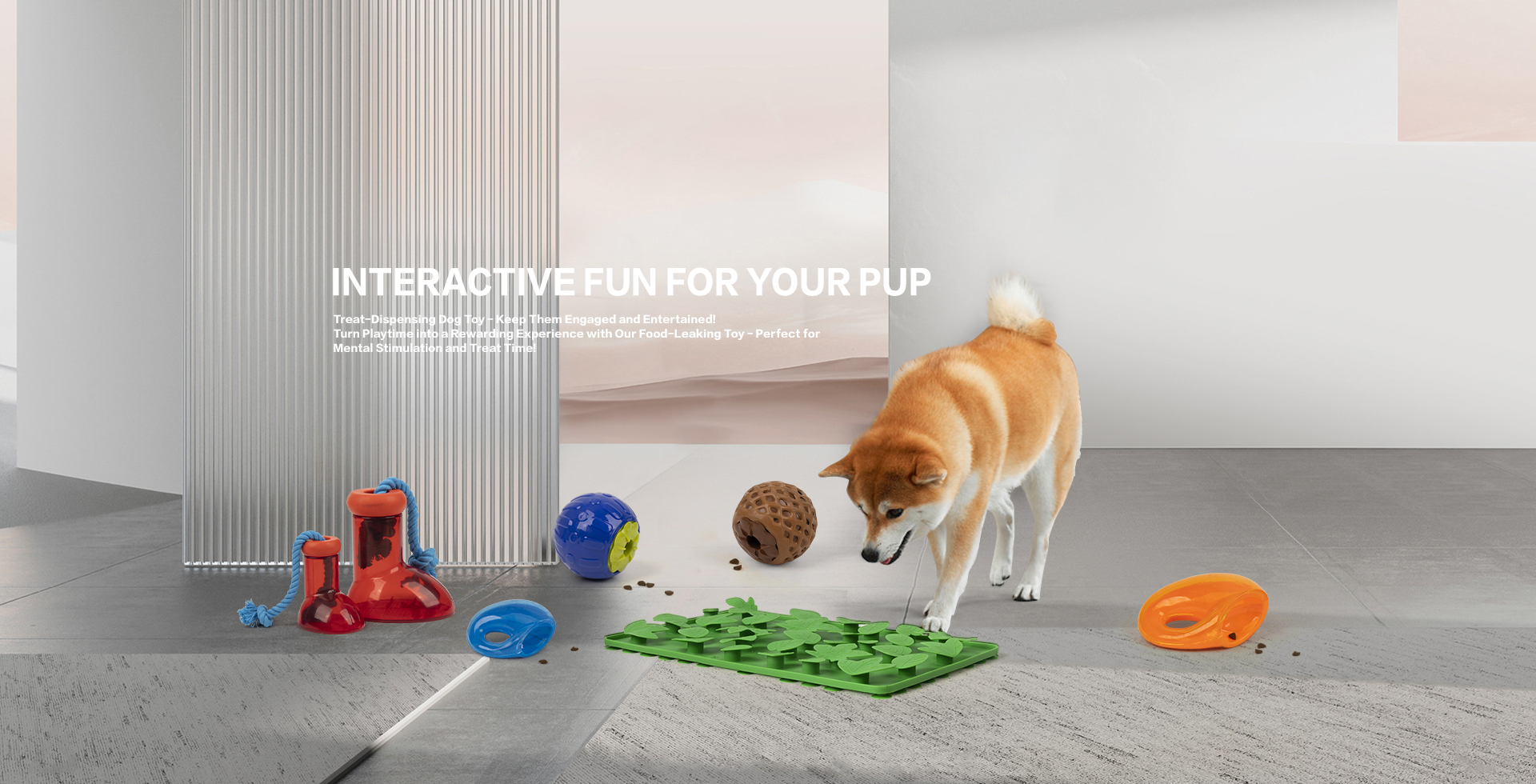 All For Paws Pet Toy B2B All For Paws Pet Toy lifestyle pet brand innovative pet brand dog toy cat toy interactive toys chew toy dog fetch